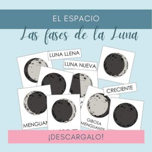 Fases-Luna